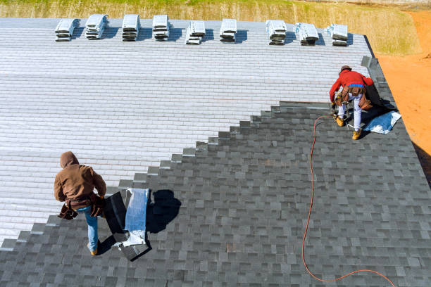 Best Roof Maintenance Services  in Manly, IA